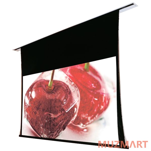 Draper Access FIT/V HDTV (9:16) 302/119" 147*264 XT1000V (M1300) Экран
