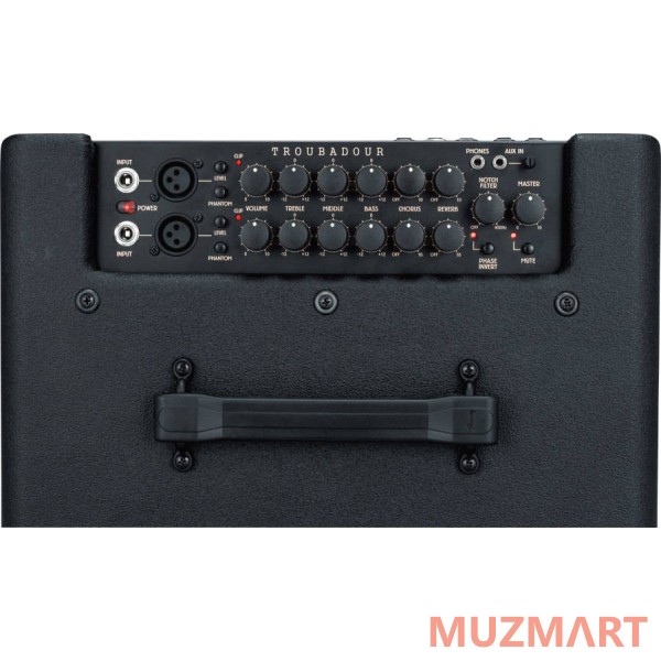 Ibanez t30ii troubadour acoustic combo комбо для акустической гитары