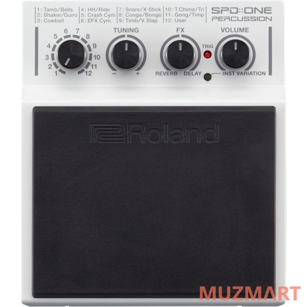 Roland SPD-1P Перкуссия электронная