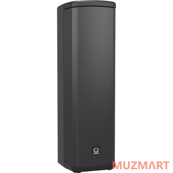Turbosound IP300 Активная акустическая система
