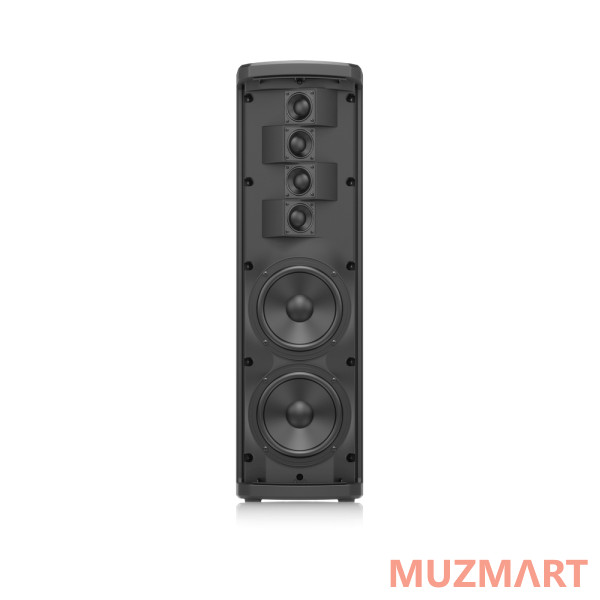 Turbosound IP300 Активная акустическая система