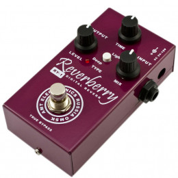 AMT Electronics RY-1 Reverberry Цифровой ревербератор