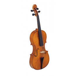 Strunal 3/9w-39 Альт