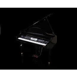 Medeli GRAND500(GB) Цифровой рояль