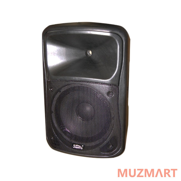 Soundking WJ12A Акустическая система с 2 микрофонами