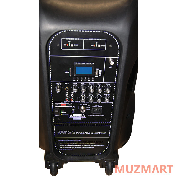 Soundking WJ12A Акустическая система с 2 микрофонами