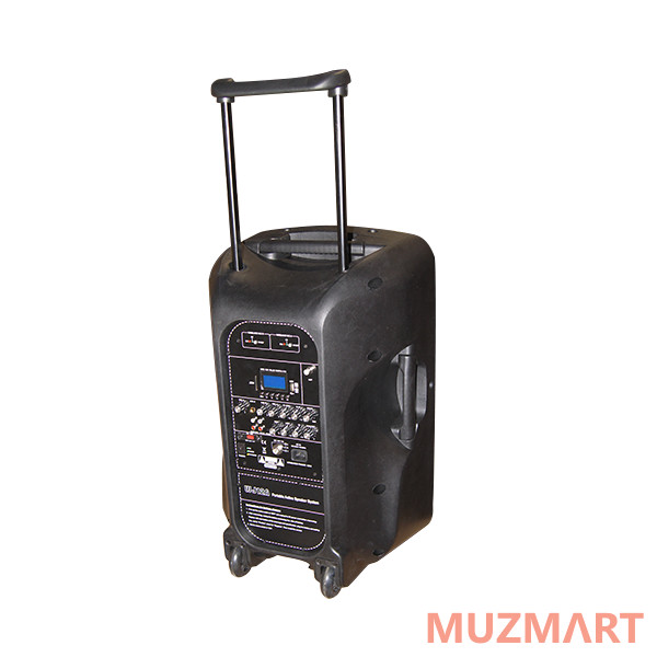 Soundking WJ12A Акустическая система с 2 микрофонами