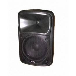 Soundking WJ12A Акустическая система с 2 микрофонами