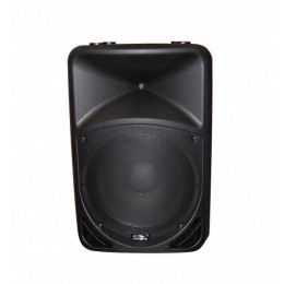 Soundking WJ15A Акустическая система с 2 микрофонами