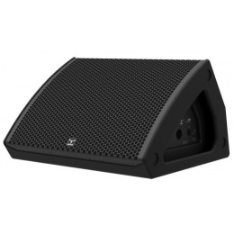 Moose CX15 Пассивный сценический монитор