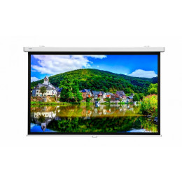 Lumien Master Picture CSR (LMP-100107CSR) 197x231см (100") Matte White Проекционный экран