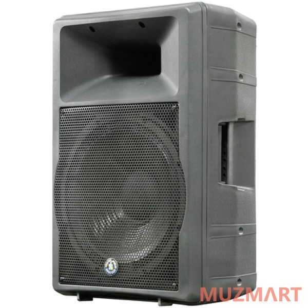 Topp Pro TSP 12A 250 Neo Активная акутическая система 250Вт