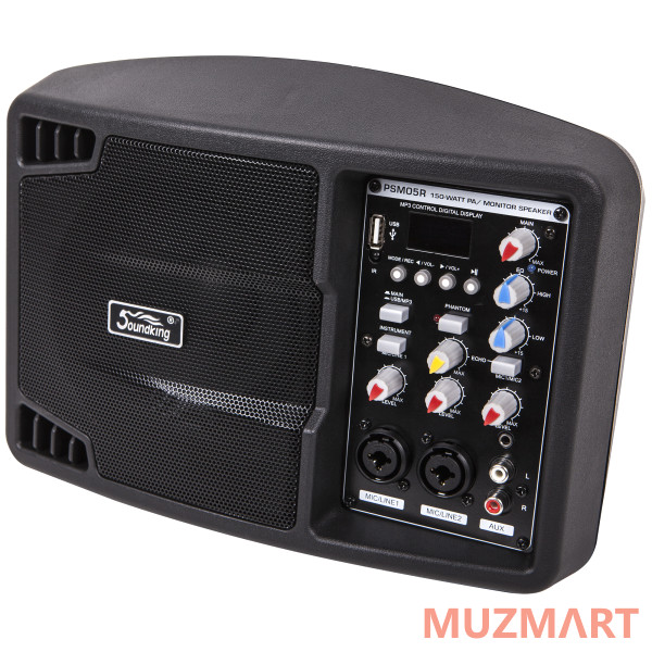 Soundking PSM05R Монитор активный
