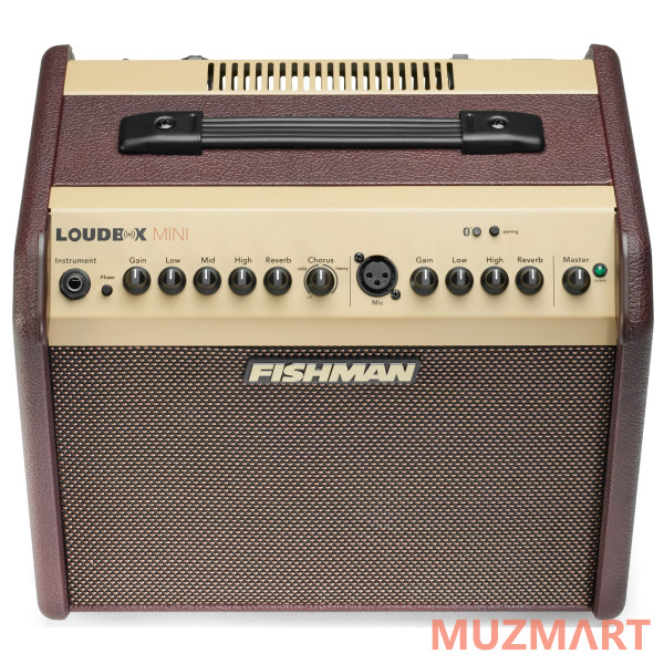 Fishman PRO-LBT-EU5 LoudBox Mini Bluetooth Комбоусилитель