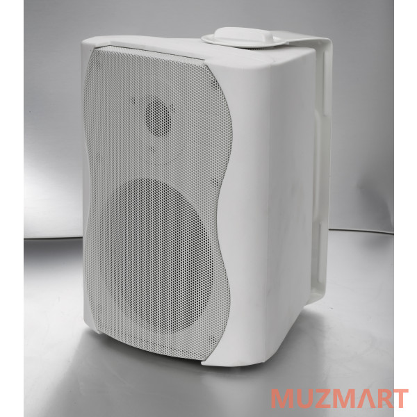 SVS Audiotechnik WS-20 White Громкоговоритель настенный