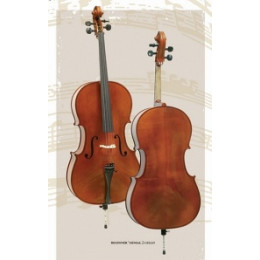 Gliga B-C034-L Beginer Genial 2 Nitro Laminated Виолончель 3/4