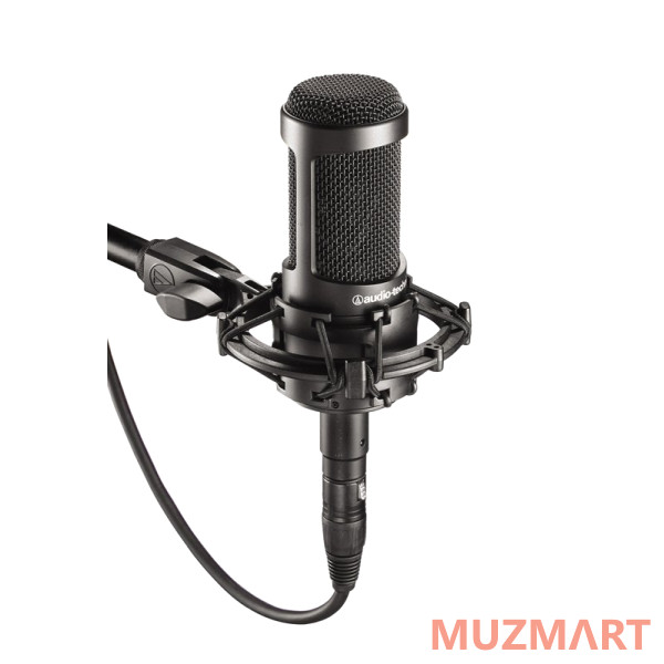 Audio-Technica AT2020V Микрофон студийный