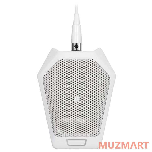 Audio-Technica U891RWB Микрофон поверхностный