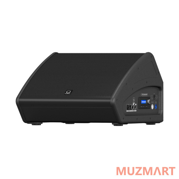 Turbosound TFM152M-AN Сценический монитор