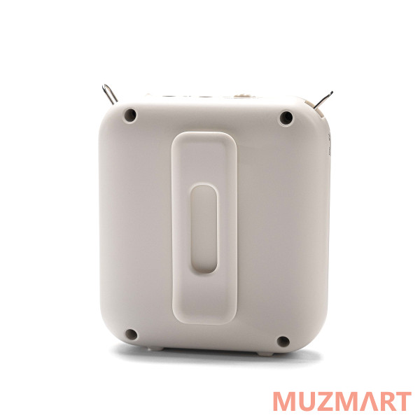 LAudio WS-VA058 Переносной громкоговоритель для гида, 5Вт