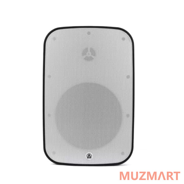 AuraSonics DENSE-8T-WH Трансляционный громкоговоритель
