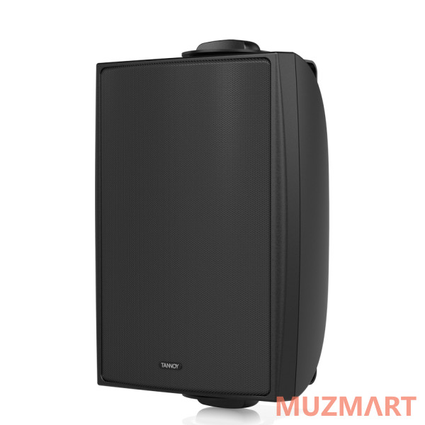 Tannoy DVS 4 Всепогодная пассивная акустическая система