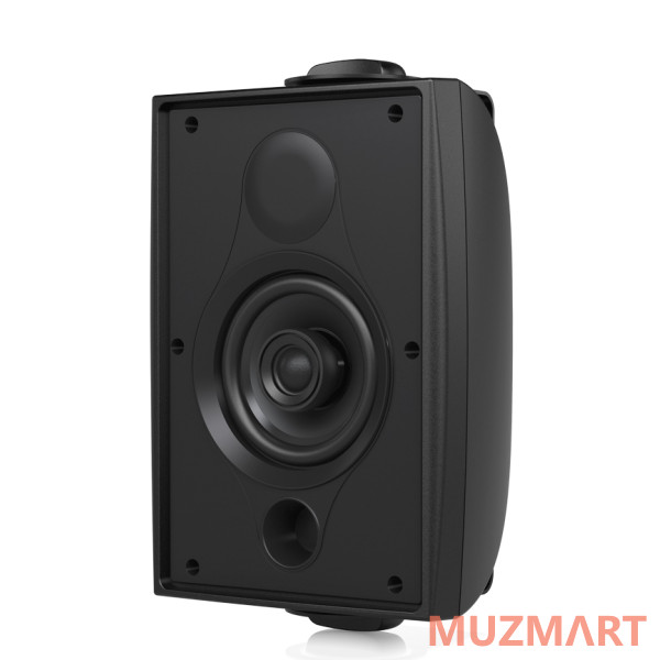 Tannoy DVS 4 Всепогодная пассивная акустическая система