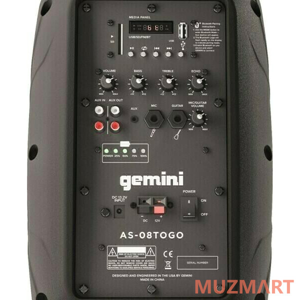 Gemini AS-08TOGO Портативная акустическая система