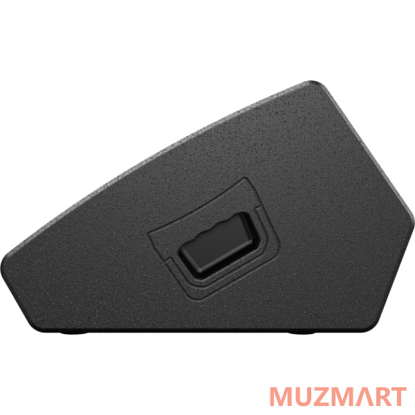 Audiocenter WM3210A Активный напольный сценический монитор