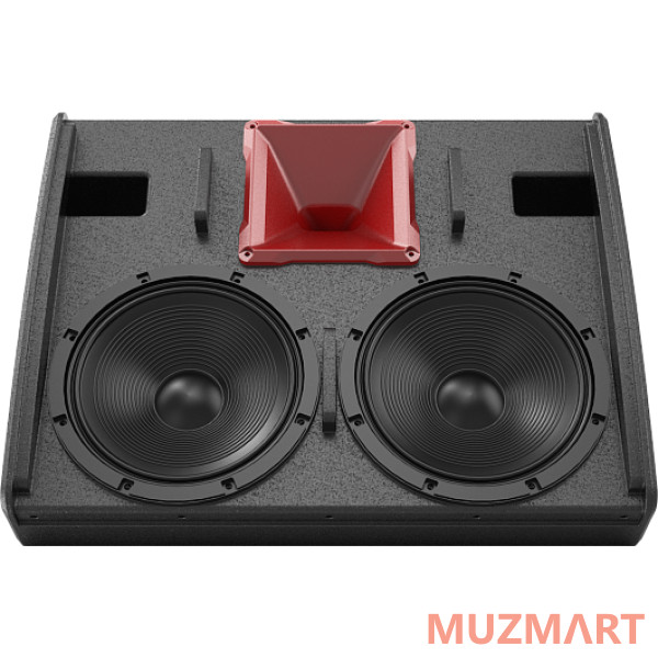 Audiocenter WM3210A Активный напольный сценический монитор