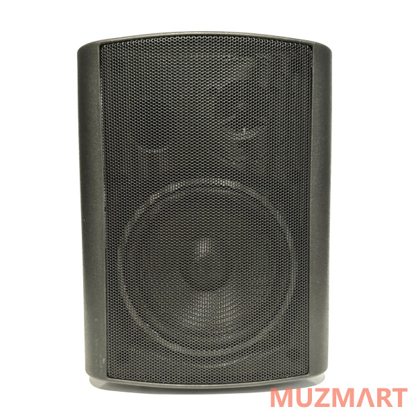 Ross CTH530BK Настенная акустическая система