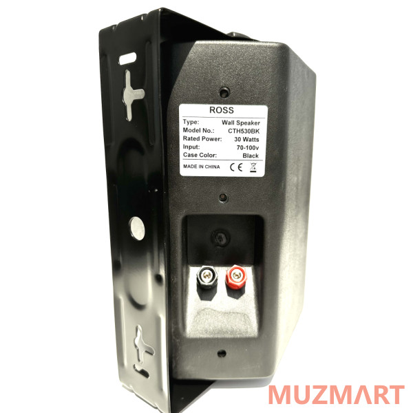 Ross CTH530BK Настенная акустическая система