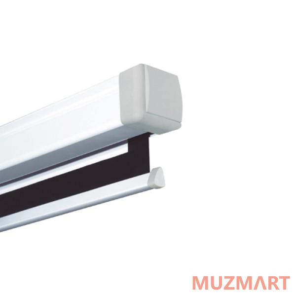 Projecta 10200034 Proscreen Datalux Проекционный экран 213x280