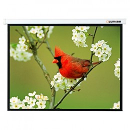 Lumien Master Picture (LMP-100113) Matte White Fiberglass Проекционный экран 366х274