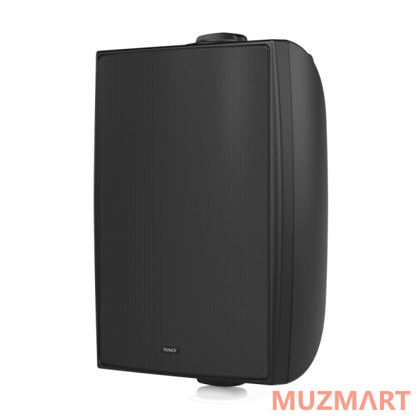 Tannoy DVS 6T Всепогодная пассивная акустическая система