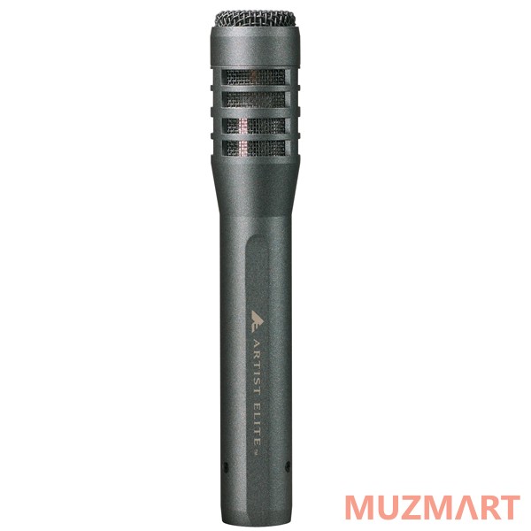 Audio-Technica AE5100 Инструментальный микрофон