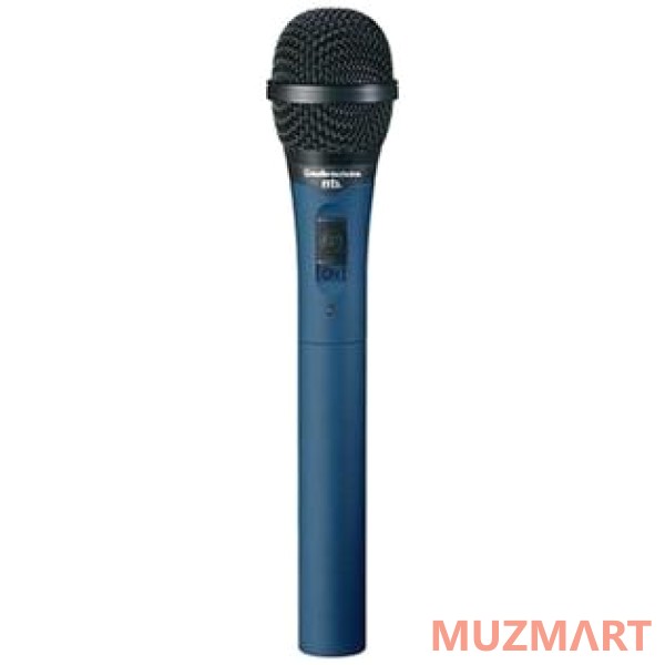 Audio-Technica MB4K Инструментальный микрофон