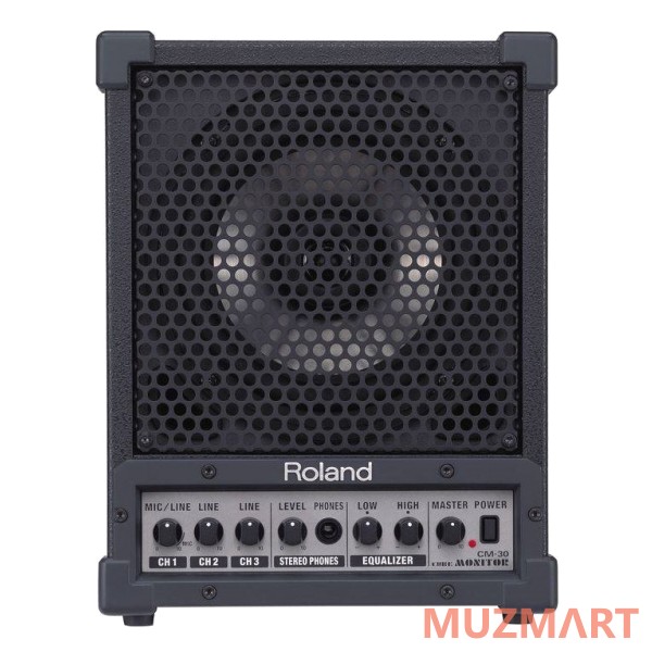 Roland CM-30 CUBE-MONITOR Активный 2-х полосный монитор