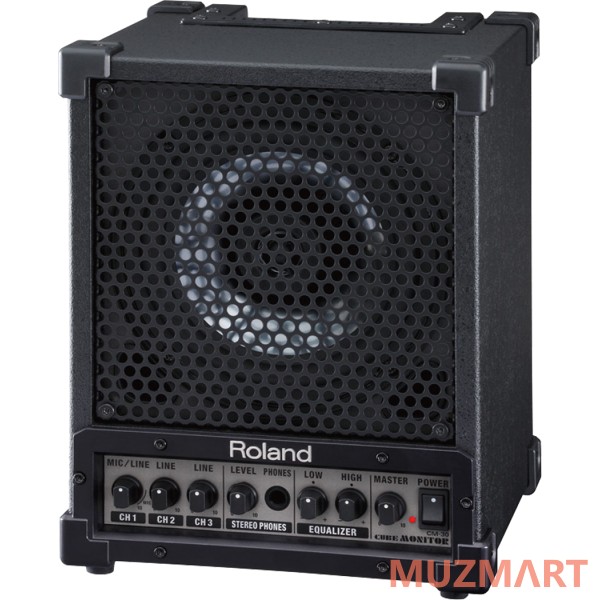 Roland CM-30 CUBE-MONITOR Активный 2-х полосный монитор