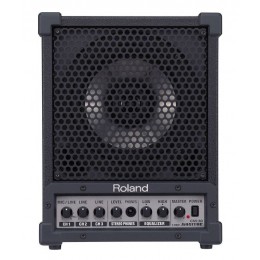 Roland CM-30 CUBE-MONITOR Активный 2-х полосный монитор