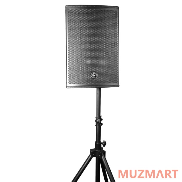 Das Audio ROAD12AR Активный сценический монитор (правый)