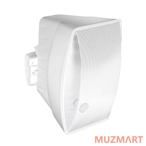 Soundtube SM500I-II-WX-WH Настенный горомкоговоритель