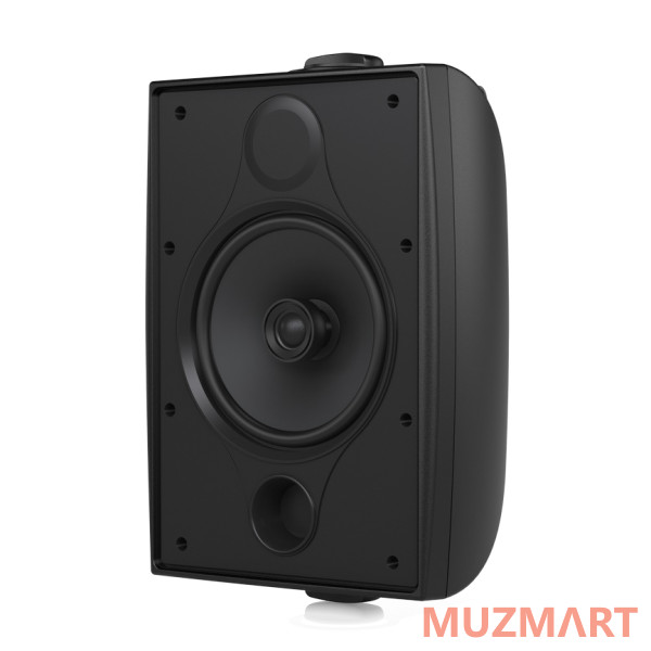 Tannoy DVS 6 Всепогодная пассивная акустическая система