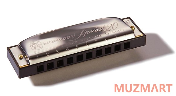 Hohner Country Special 560/20 A (M560946X) с Уроками Губная гармоника