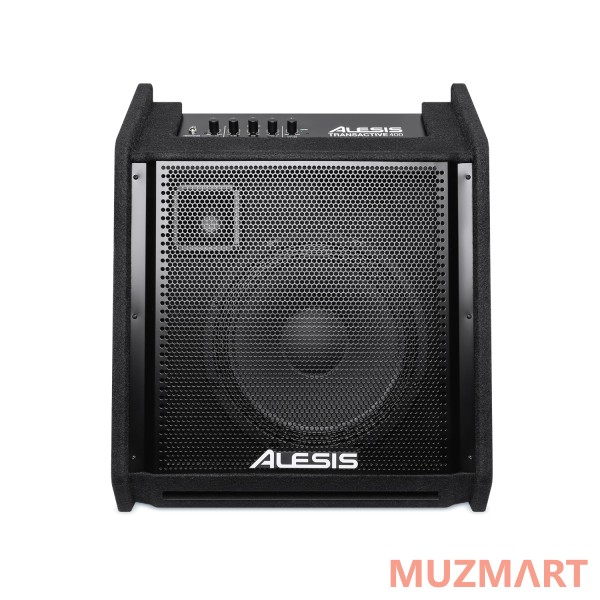 Alesis TRANSACTIVE 400 Комбоусилитель для электронных барабанов