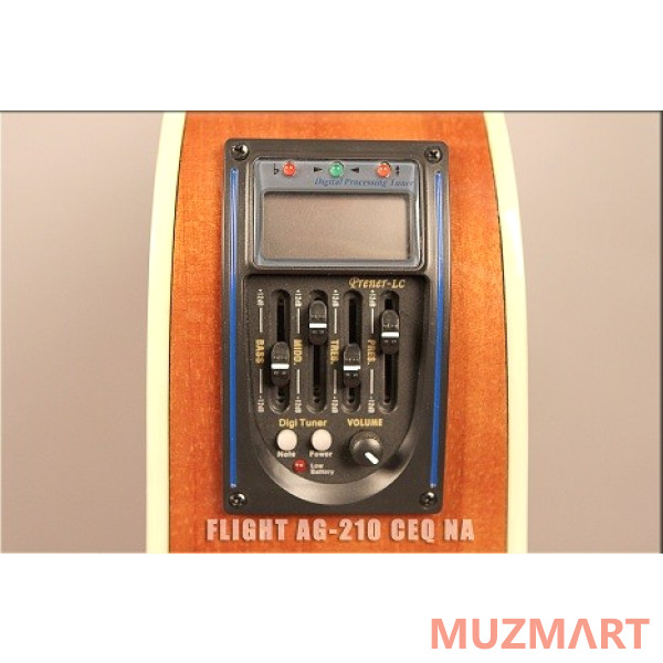 Flight AG-210 CEQ NA Электроакустическая гитара