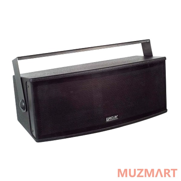 Ecler [DACORD H208IBK] Пассивная АС