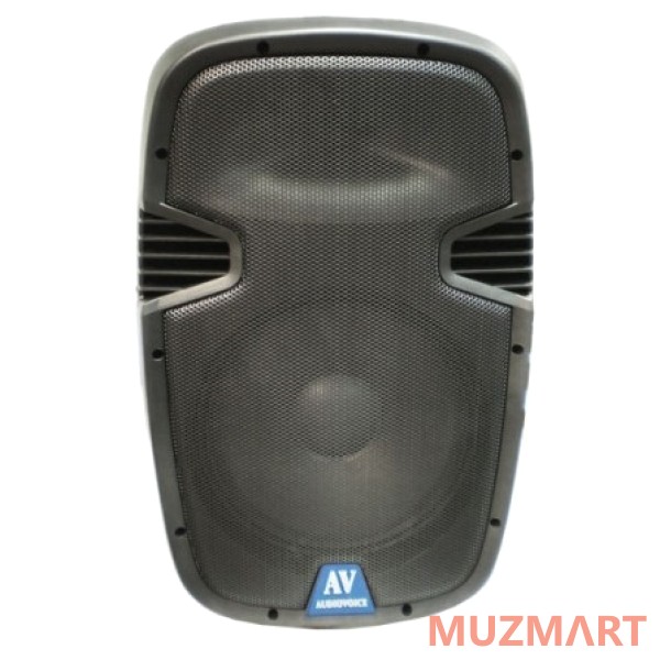 Audiovoice AP210D 2-х полосная активная акустическая система