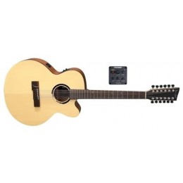 VGS B-40-12 CE Bayou Natural Satin Гитара электроакустическая