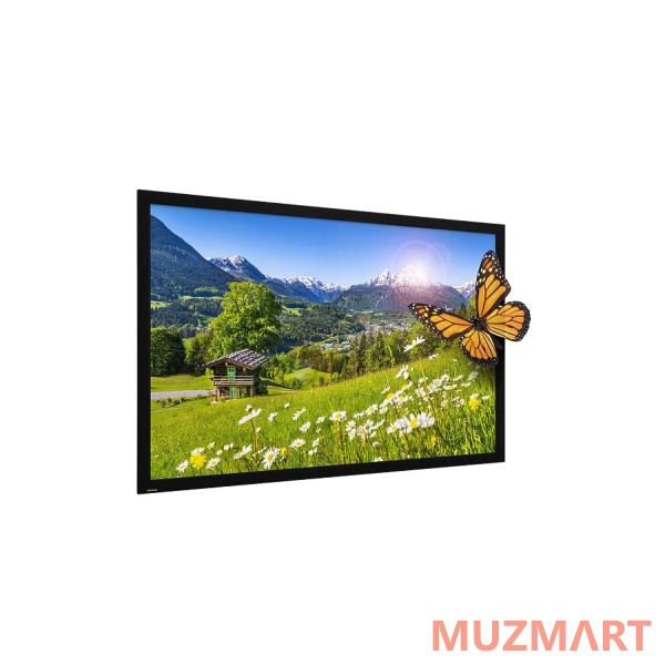 Projecta HomeScreen Deluxe (10600423) Экран со стационарной рамой, 173x296см
